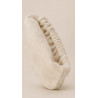 Bandeau cheveux